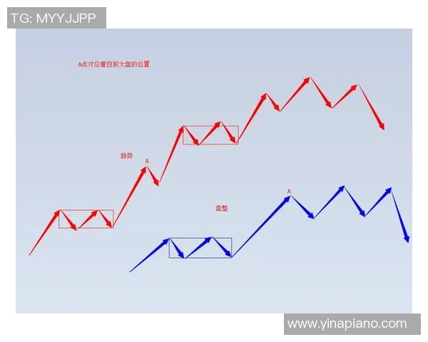 世界级排球比赛发球技术演化趋势与未来发展方向研究 世界级排球比赛发球技术演化趋势与未来发展方向研究